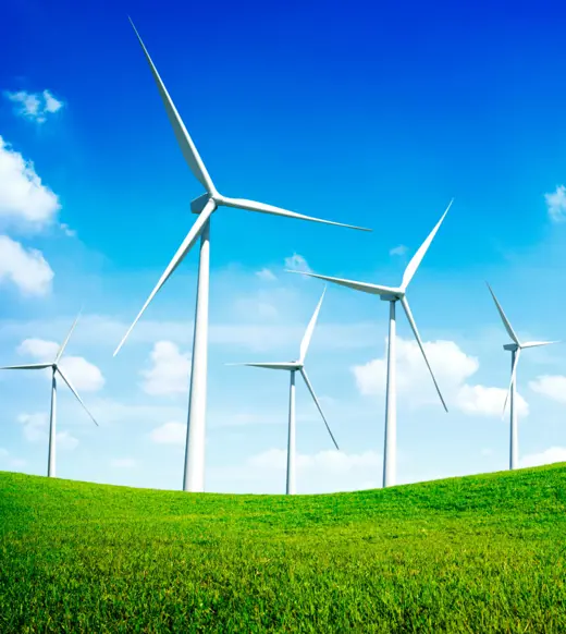 Holtara ranked top ESG reporting platform in Walk the Talk Consultancy’s benchmarking sustainability tools report