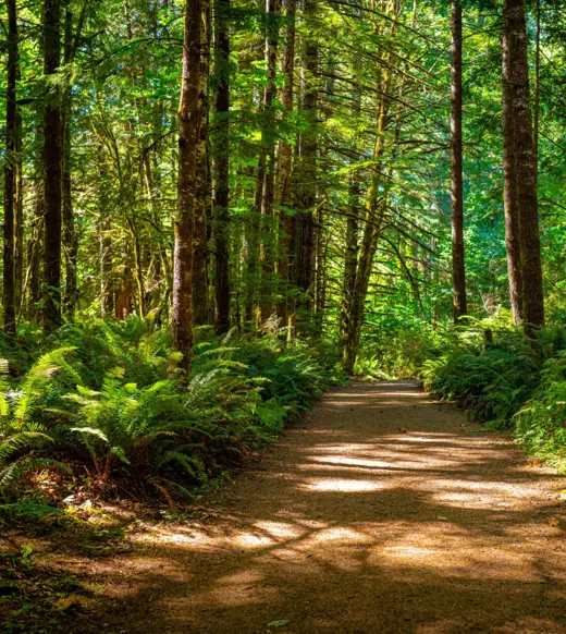 Why a 40-year-old investment performance metric still matters - but is frequently overlooked