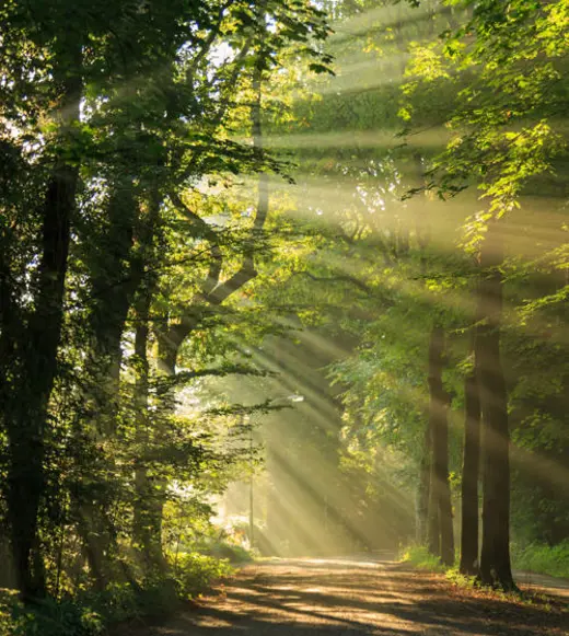 Two paths in sustainability-linked lending: SLLP loans and ratchet frameworks