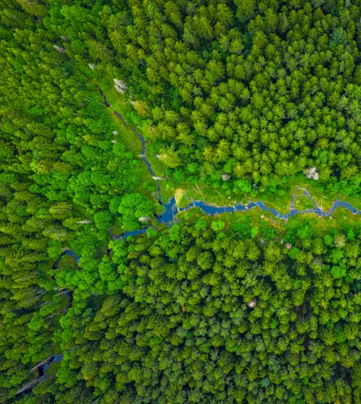 Accuracy and auditability: the backbone of trustworthy ESG reporting