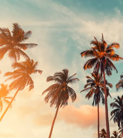 ESG is poised for take-off in Asia