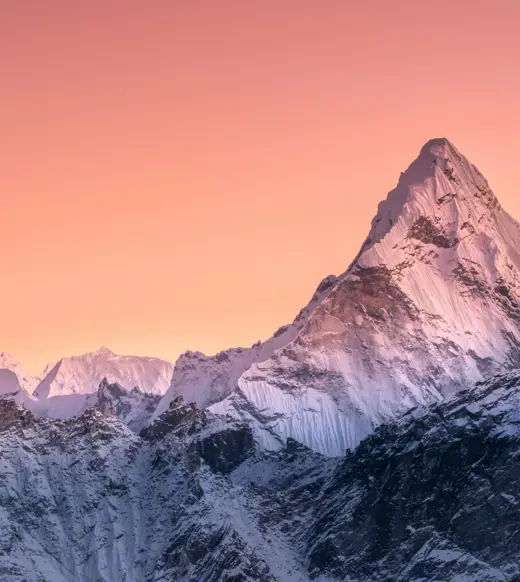 Expanding into the Middle East: Real insights from regional leaders