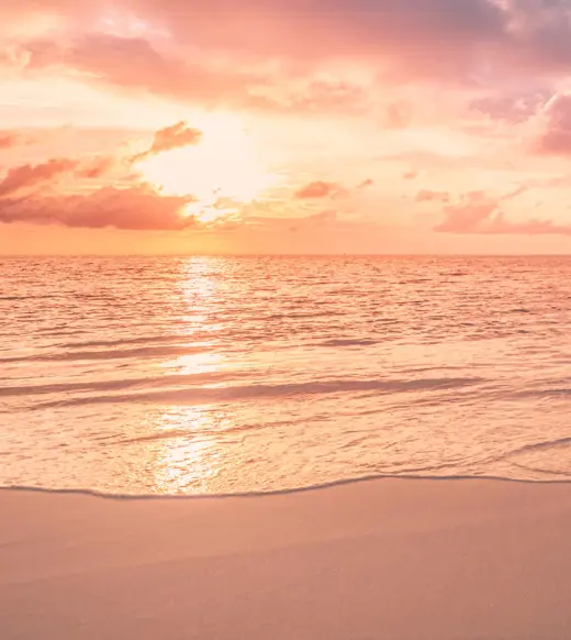 The rise of internal carbon pricing: driving sustainability and financial accountability