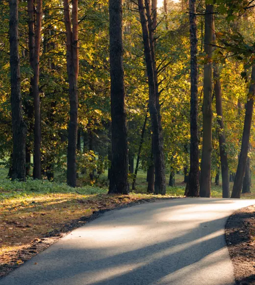 Syndicated loans and CLOs: the operational engine behind deal execution