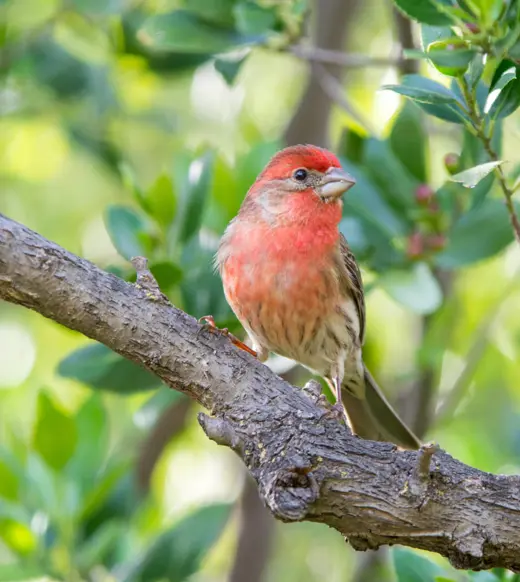 Managers must adapt to survive in this evolving fundraising environment