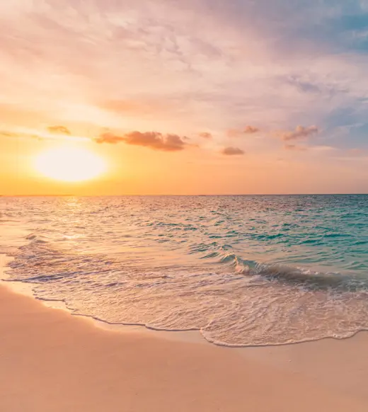 Capital markets and private equity: supporting new credit strategies