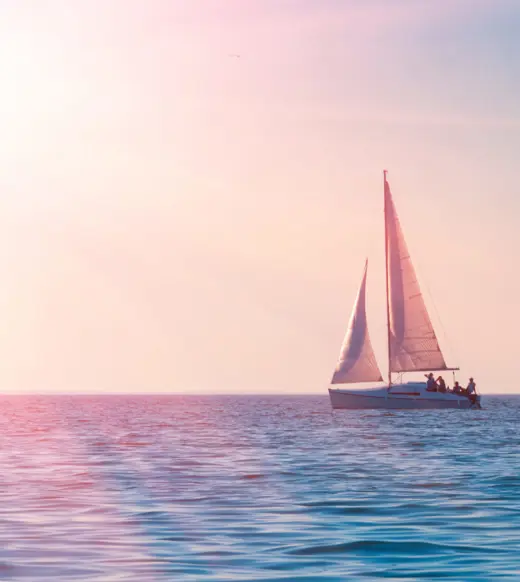 Global regulatory update Q4 2024